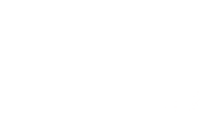 Dice Job Board Logo